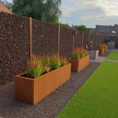 Vaste planten voor plantenbakken buiten | Doika