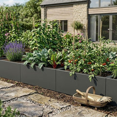 Plantenbakken voor Moestuin