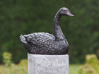 Bronze statue Swan 16x9x22cm
