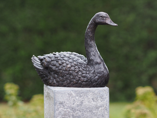 Bronze statue Swan 16x9x22cm
