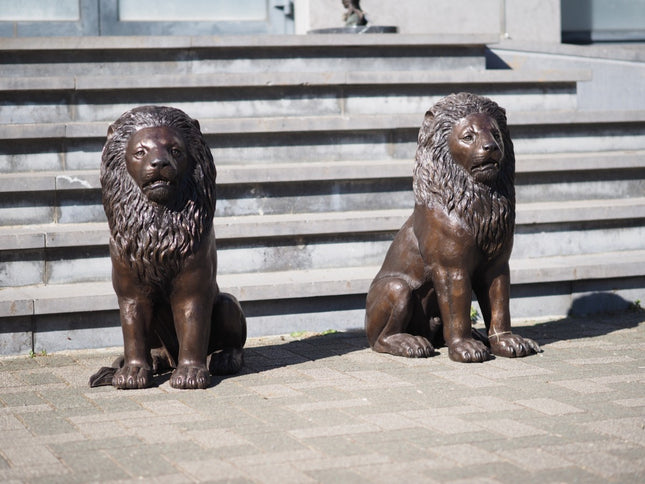 Bronzen beeld Zittende leeuw 80x37x58cm