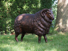 Bronzen beeld Schaap 61x30x75cm