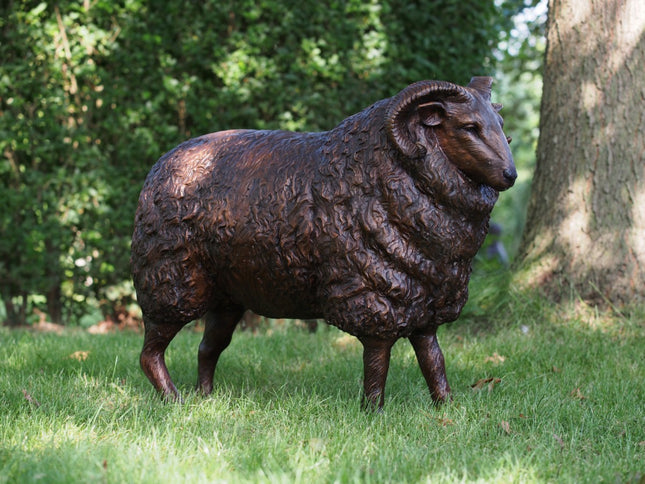 Bronzen beeld Schaap 61x30x75cm
