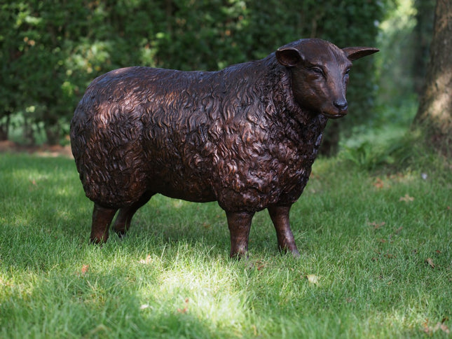 Bronze statue sheep 59x30x80cm