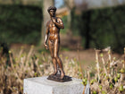 Bronzen beeld David van Michelangelo 40cm 40x0x0cm
