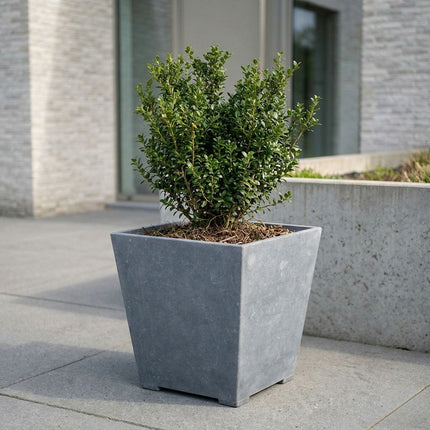 Conische arduinen plantenbak met bodem 50x35x52 cm