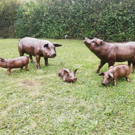 Bronzen beeld Varken 67x40x130cm 45kg