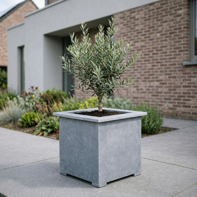 Vierkante arduinen plantenbak met bodem 40x40x42 cm