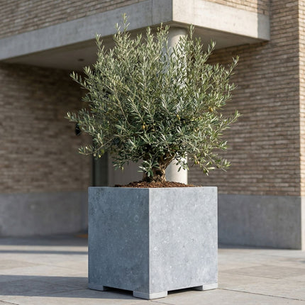 Vierkante arduinen plantenbak met bodem 70x70x72 cm - Modern