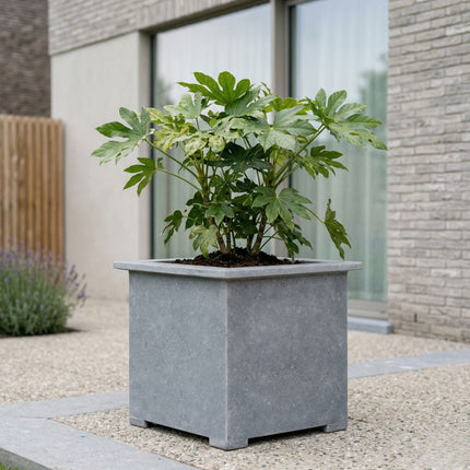 Vierkante arduinen plantenbak met bodem 80x80x82 cm