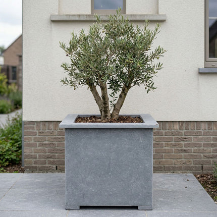 Vierkante arduinen plantenbak met bodem 90x90x92 cm