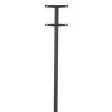 Allux Stand 1003 Brievenbuspalen Antraciet - Doika - Brievenbuspalen - Allux - 5701701590993 - F59099