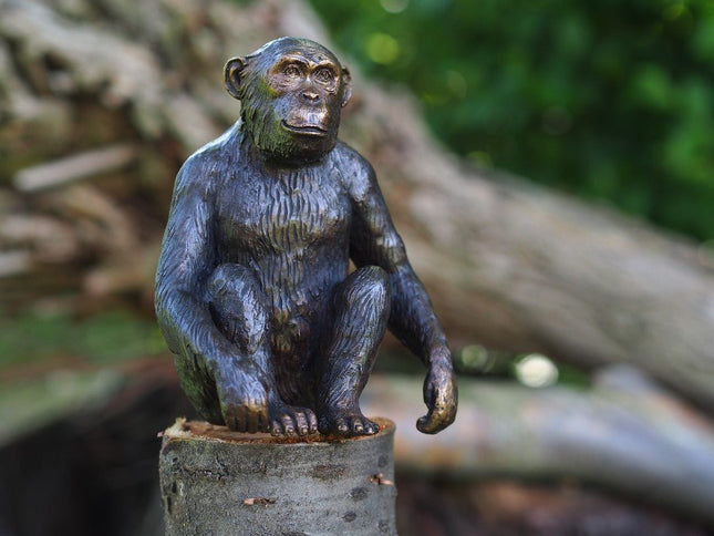 Bronzen beeld Chimpansee 15x9x12cm - Doika - Bronzen beeld - Doika - 5410807013311 - AN1331BR-B