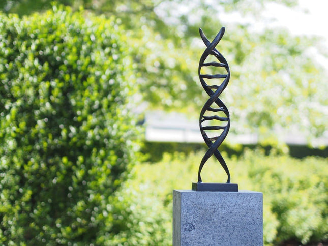 Bronzen beeld DNA sculptuur 53x13x13cm - Doika - Bronzen beeld - Doika - 5410807027349 - AN2734BRW-BI