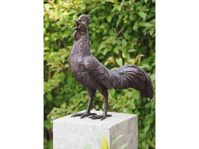 Bronzen beeld Haan 50x25x53cm - Doika - Bronzen beeld - Doika - 5410807004845 - AN0484BR-B