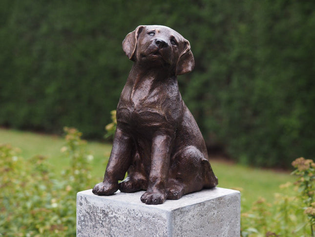 Bronzen beeld Puppy 35x19x25cm - Doika - Bronzen beeld - Doika - 5410807473184 - AN4731BR-B