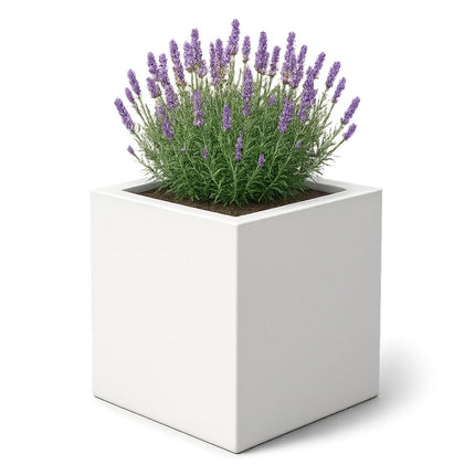 GARDRA Polyester plantenbak 100x100x100 cm - Zuiver Wit (RAL 9010) - Doika - Plantenbak - GARDRA -  - DOIKA-AP-06-RAL-9010