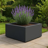 GARDRA Polyester plantenbak 100x100x40 cm - Zwartgrijs (RAL 7021) - Doika - Plantenbak - GARDRA -  - DOIKA-AP-06.3-RAL-7021