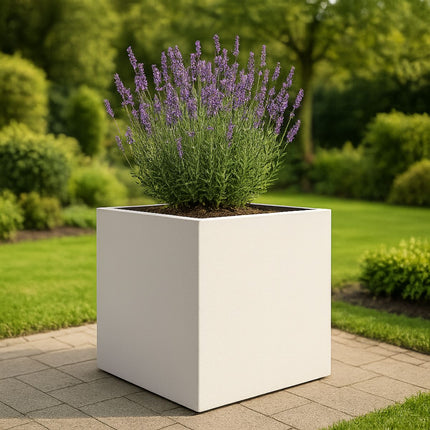 GARDRA Polyester plantenbak 120x120x120 cm - Zuiver Wit (RAL 9010) - Doika - Plantenbak - GARDRA -  - DOIKA-AP-07-RAL-9010