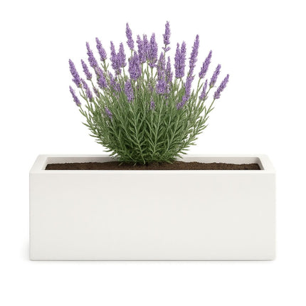 GARDRA Polyester plantenbak 120x30x40 cm - Zuiver Wit (RAL 9010) - Doika - Plantenbak - GARDRA -  - DOIKA-BP-11-RAL-9010