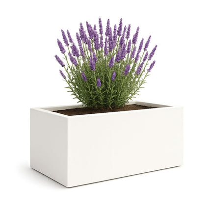 GARDRA Polyester plantenbak 185x120x60 cm - Zuiver Wit (RAL 9010) - Doika - Plantenbak - GARDRA -  - DOIKA-BP-25-RAL-9010