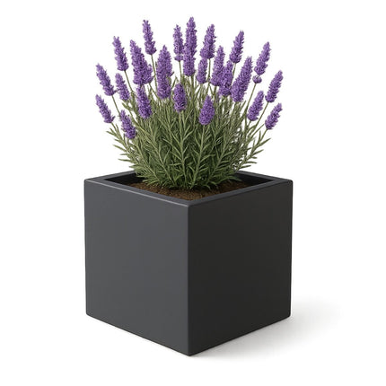 GARDRA Polyester plantenbak 40x40x40 cm - Zwartgrijs (RAL 7021) - Doika - Plantenbak - GARDRA -  - DOIKA-Ap-1-RAL-7021