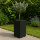 GARDRA Polyester plantenbak 40x40x80 cm - Gitzwart (RAL 9005) - Doika - Plantenbak - GARDRA -  - DOIKA-CP-2.2-RAL-9005
