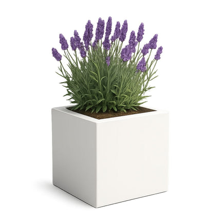 GARDRA Polyester plantenbak 60x60x60 cm - Zuiver Wit (RAL 9010) - Doika - Plantenbak - GARDRA -  - DOIKA-Ap 3-RAL-9010