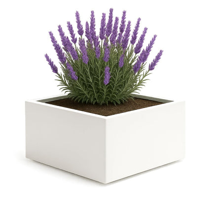 GARDRA Polyester plantenbak 80x80x40 cm - Zuiver Wit (RAL 9010) - Doika - Plantenbak - GARDRA -  - DOIKA-AP-5.2-RAL-9010