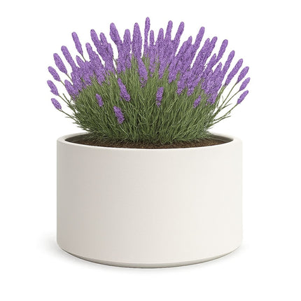GARDRA Polyester plantenbak Ø 100x60 cm - Zuiver Wit (RAL 9010) - Doika - Plantenbak - GARDRA -  - DOIKA-FP-3 9010