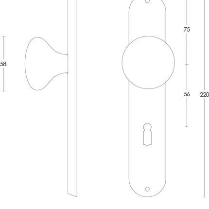 Intersteel Knop Paddenstoel op schild sleutelgat 56 mm rvs geborsteld - Doika - Knoppen op schild - Intersteel - 8714186039700 - 35,269,524