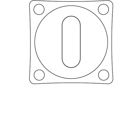 Intersteel Rozet sleutelgat vierkant basic nikkel mat - Doika - Rozetten - Intersteel - 8714186420324 - 19,318,315