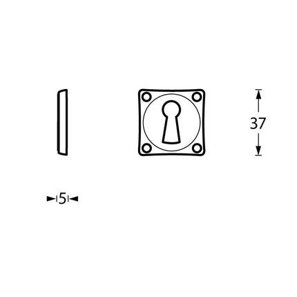 Intersteel Rozet sleutelgat vierkant basic nikkel - Doika - Rozetten - Intersteel - 8714186420317 - 18,318,315