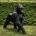 Tuinbeeld Gorilla 102x41x85 cm