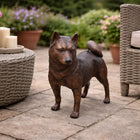 Tuinbeeld Shiba Inu 40x15x43 cm